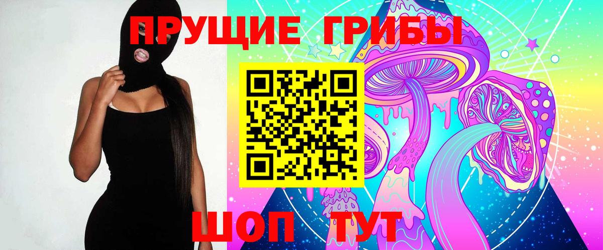 Дубна  Галлюциногенные грибы Psilocybe  Вход с VPN 