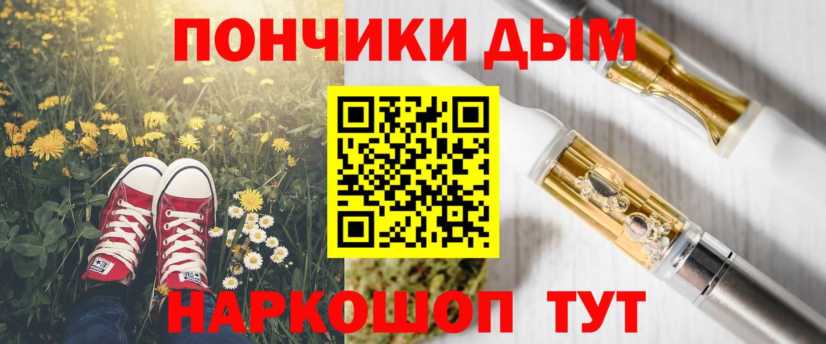Псилоцибиновые грибы Дубна